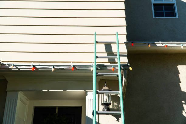 Best Aluminum Siding Installation  in Bisbee, AZ